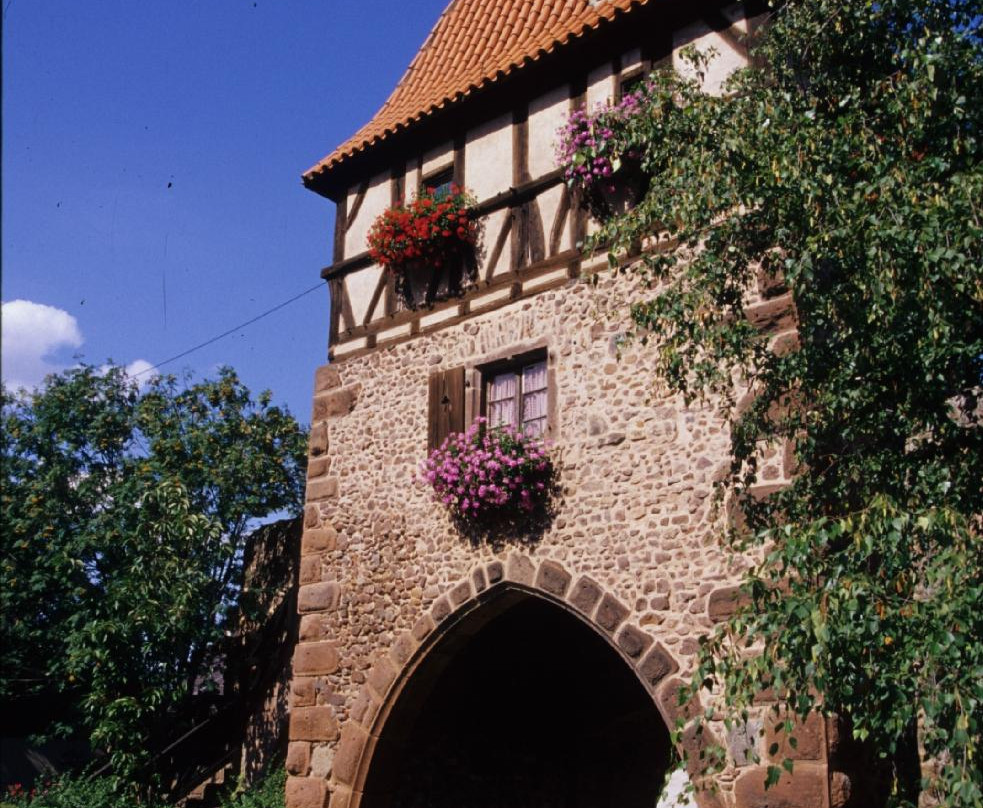 La Rose des Vins Private Tours-斯特拉斯堡必去景点