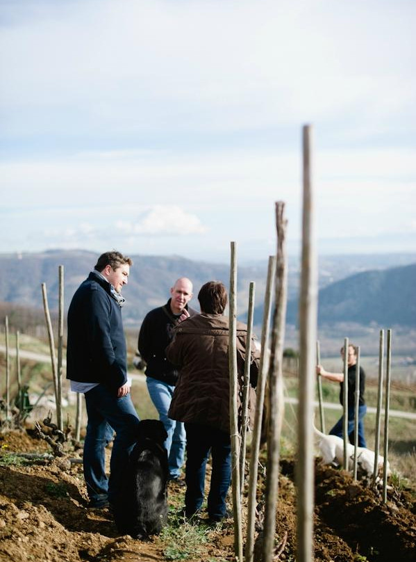 Rhone Wine Tours-尼永必去景点