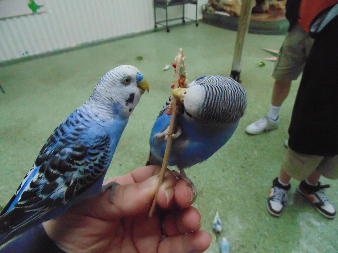 鳄鱼乐园-奥兰多必去景点