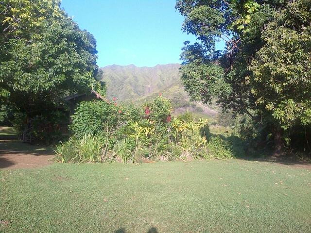 Kahili Mountain Park主图