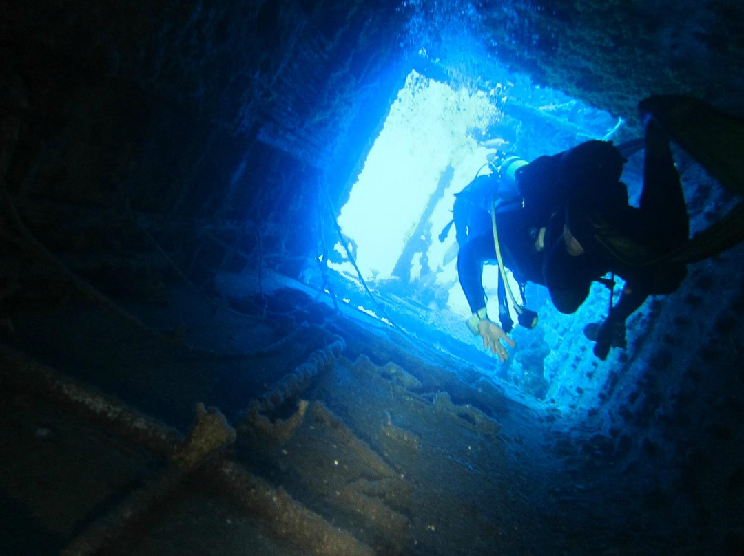 Plongee Caraibes Catamaran-居斯塔维亚必去景点