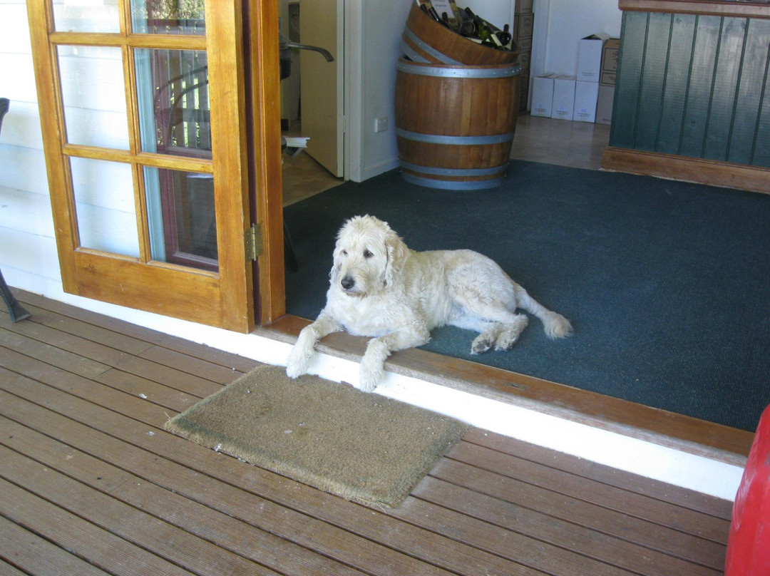 Petersons of Mudgee-马奇必去景点