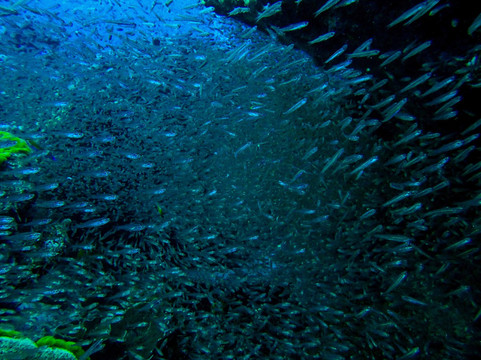 西海岸潜水员-查龙必去景点