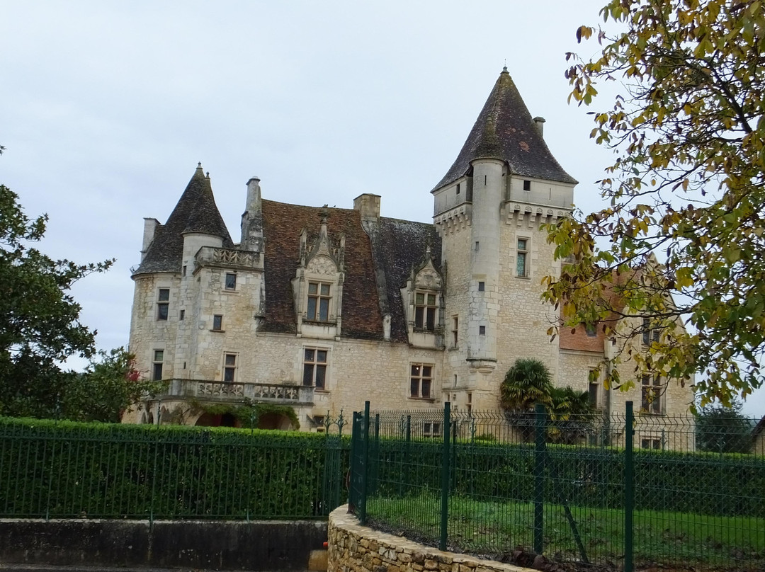 Château des Milandes景点图片
