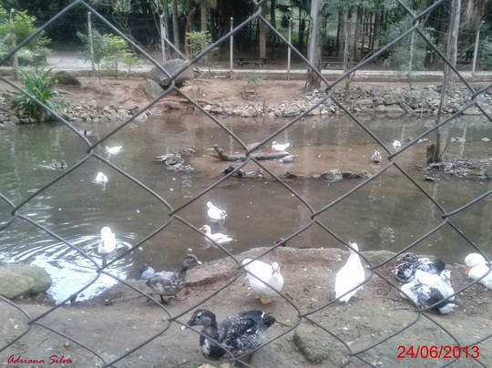 Parque Chico Mendes-Osasco必去景点