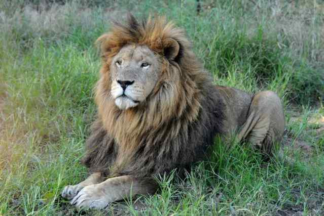 秦皇岛野生动物园-秦皇岛市必去景点