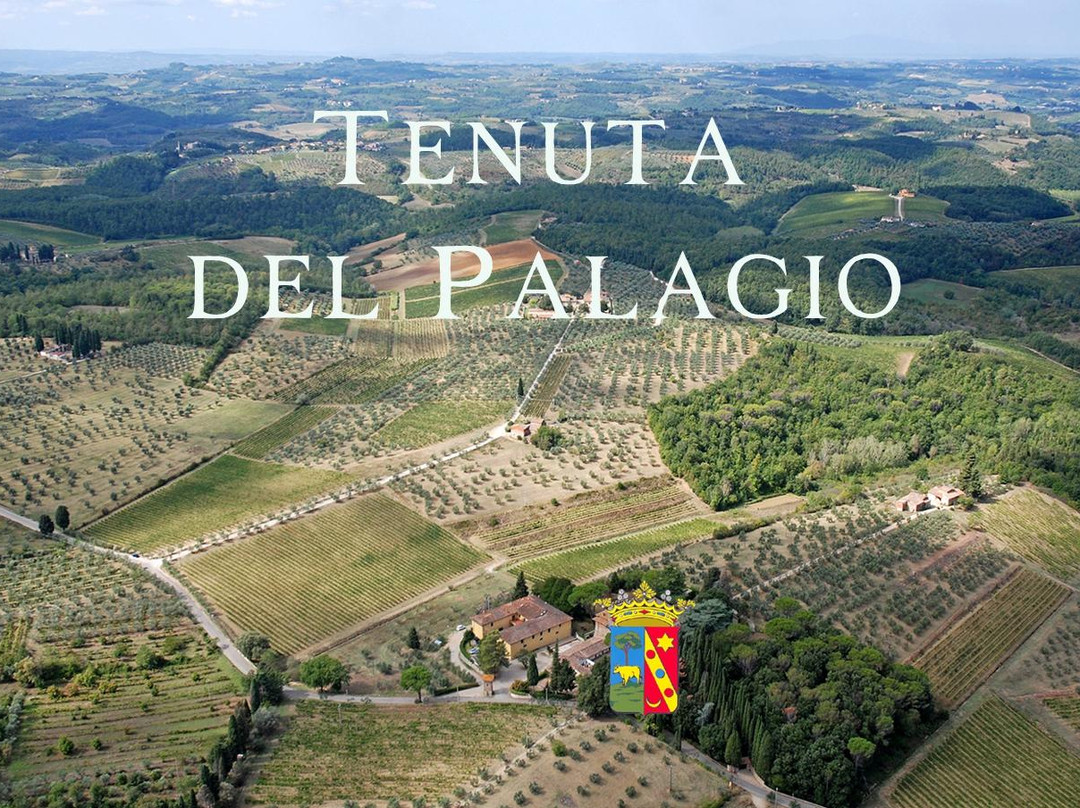 Mercatale di Val di Pesa旅游攻略图片
