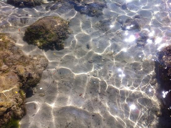 Spiaggia del Lazzaretto景点图片