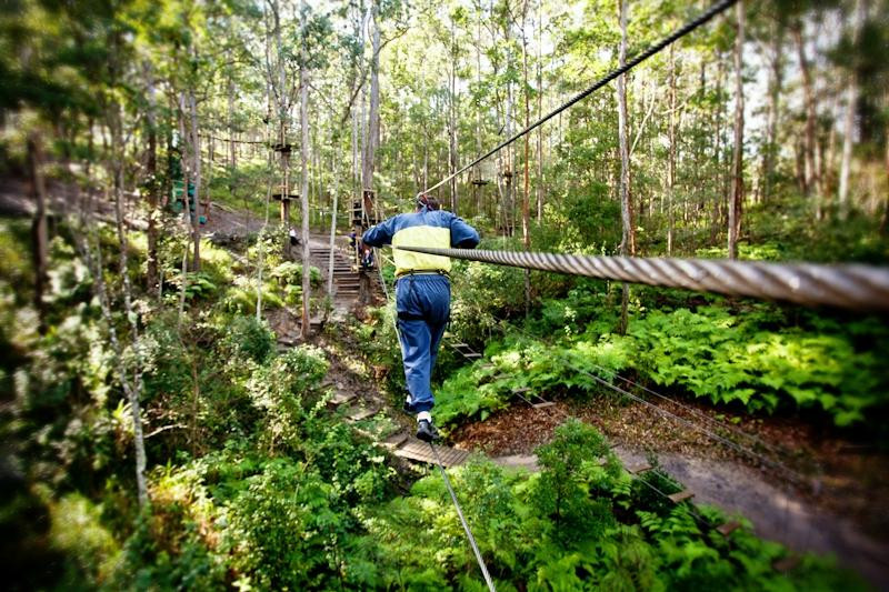 TreeTop Challenge景点图片