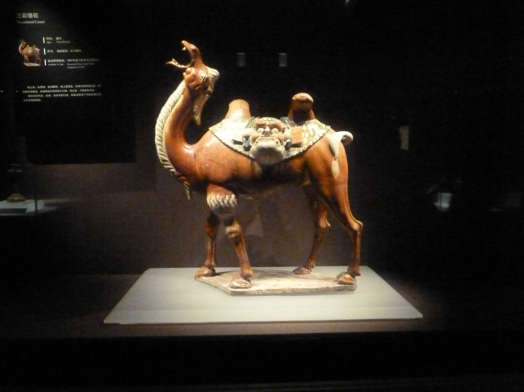 洛阳博物馆-洛阳市必去景点