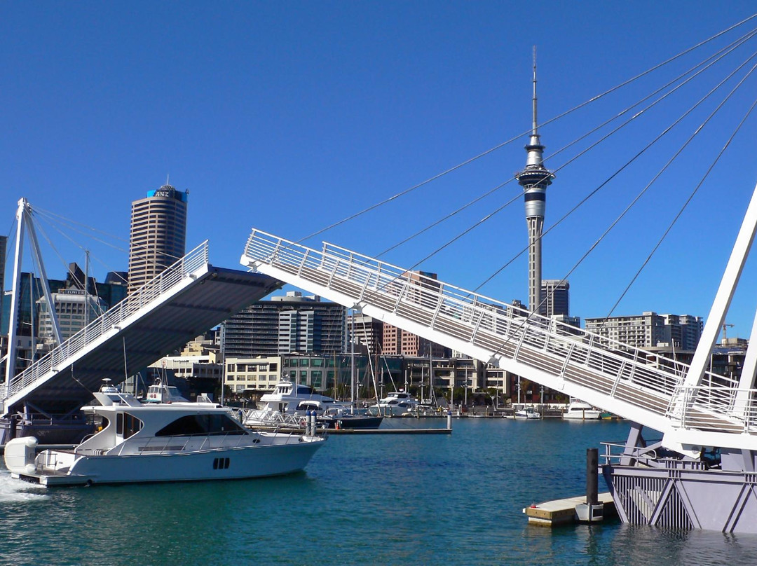 高架桥港-奥克兰中心地区必去景点