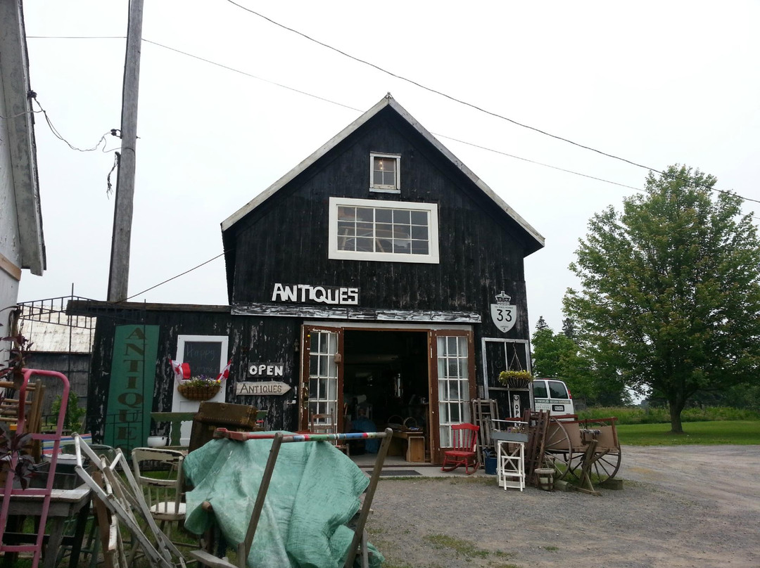 Dead People's Stuff Antiques景点图片