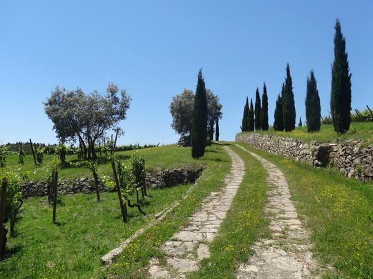 I Bike Tuscany-佛罗伦萨必去景点