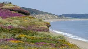 Dunwich Heath and Beach-Dunwich必去景点