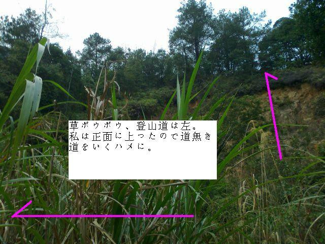 韶关云髻山-新丰县必去景点