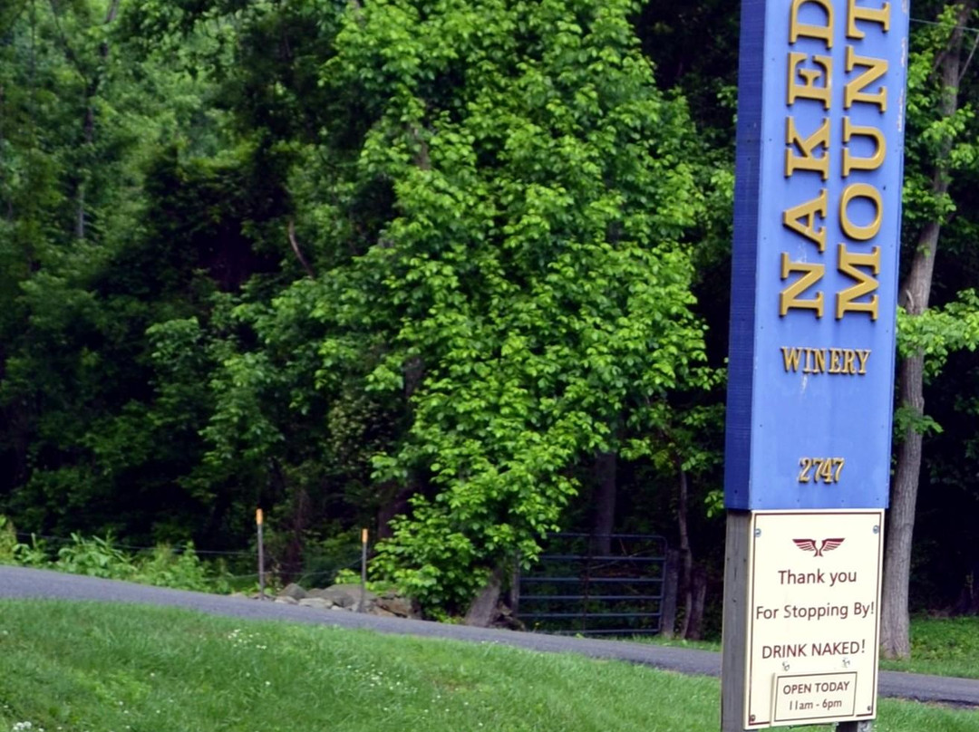 Naked Mountain Winery & Vineyards-Markham必去景点