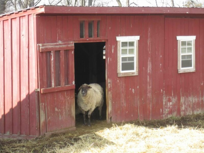 Oxon Cove Park & Oxon Hill Farm-奥克森山必去景点