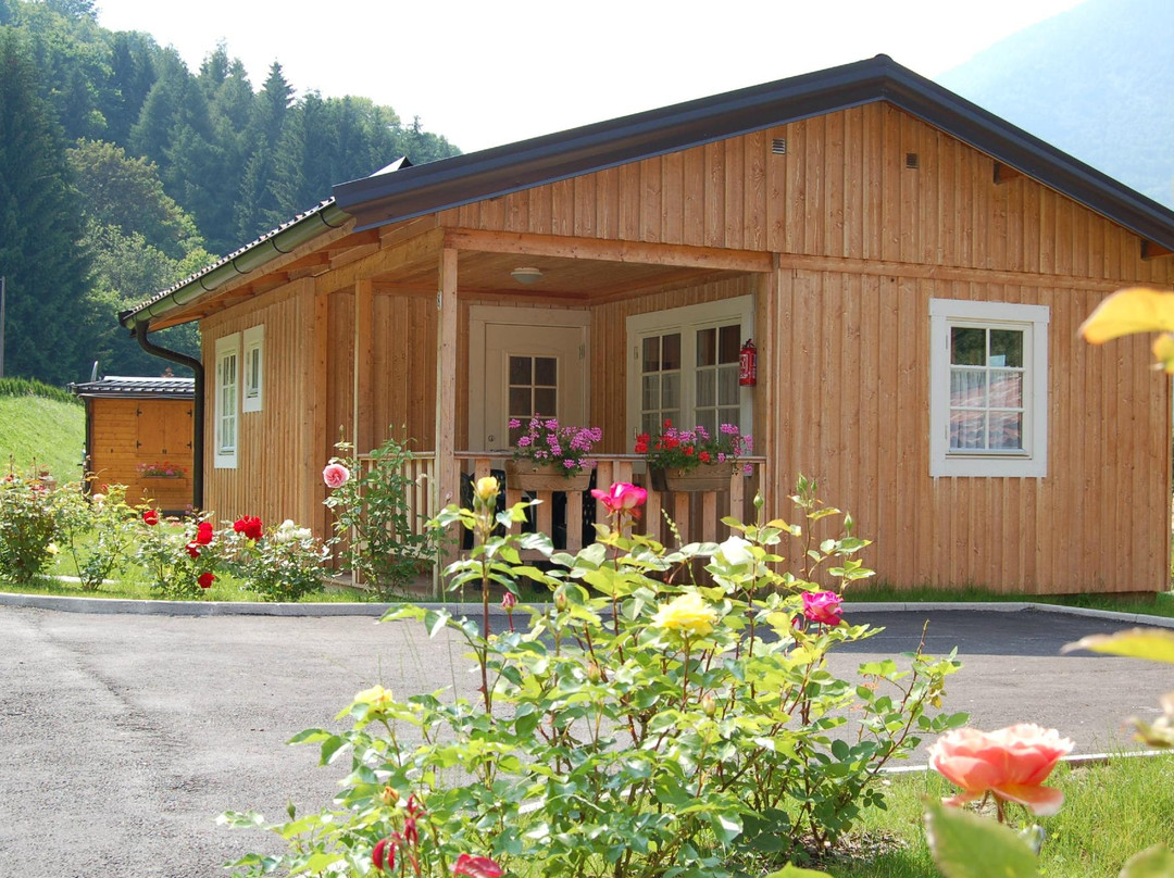Casteltesino Camping