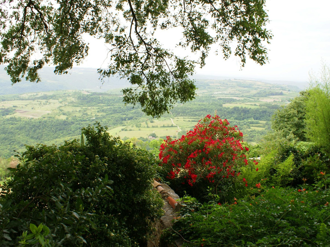 Fiore Day Tours - Groznjan-Groznjan必去景点