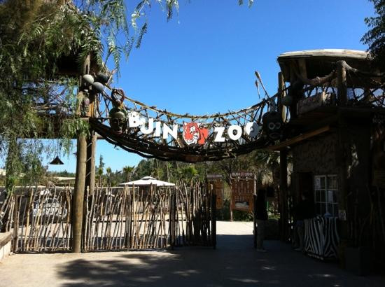 Buin Zoo景点图片