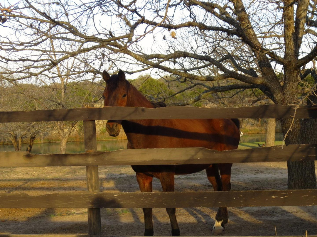 The Double U Barr Ranch主图