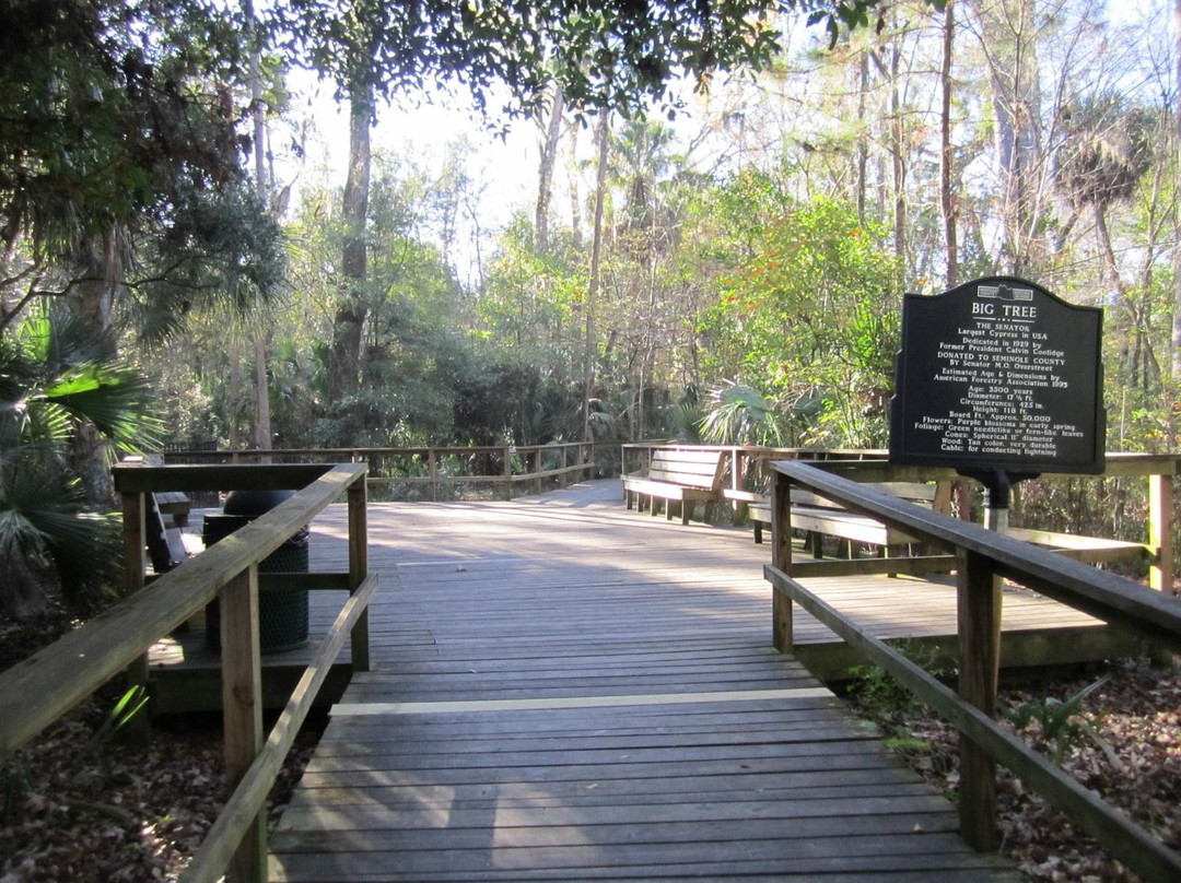Big Tree Park-Longwood必去景点