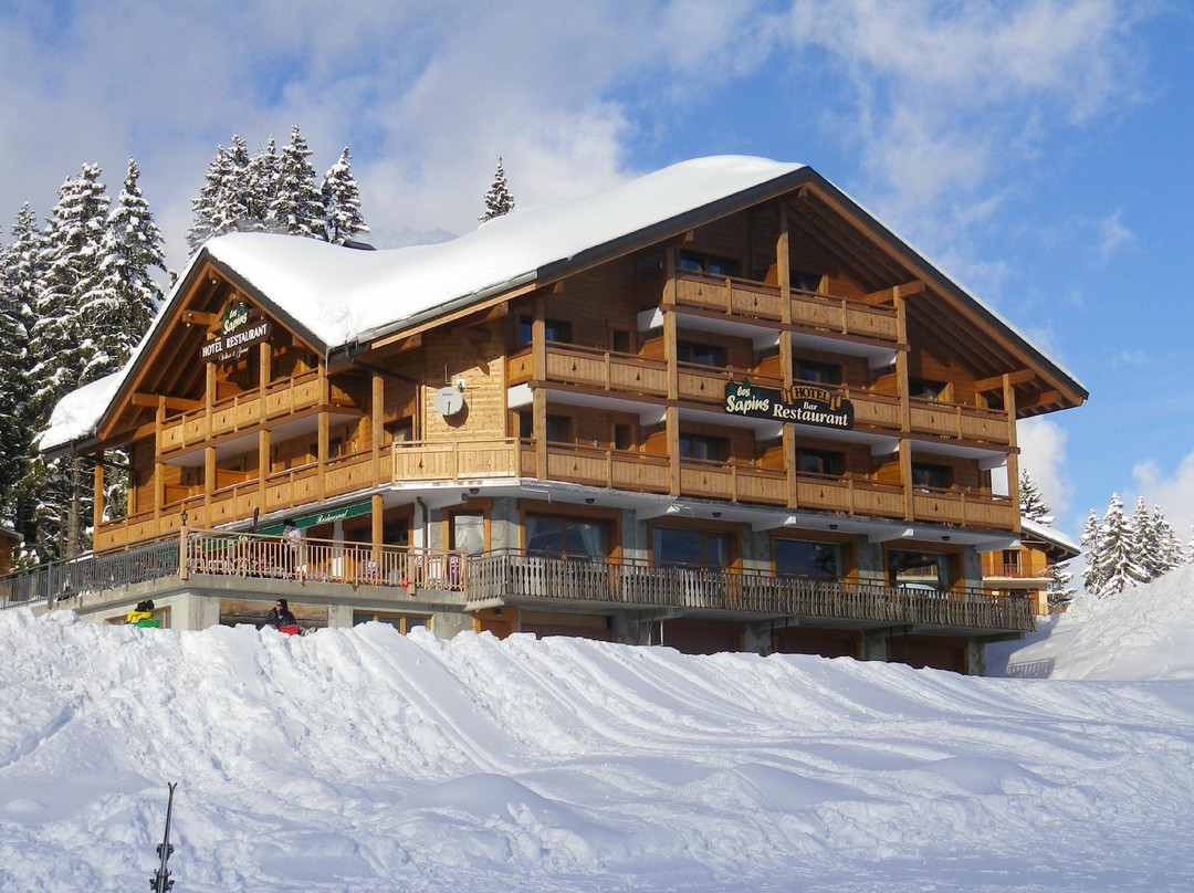 Manigod餐馆和美食-Le Restaurant Les Sapins