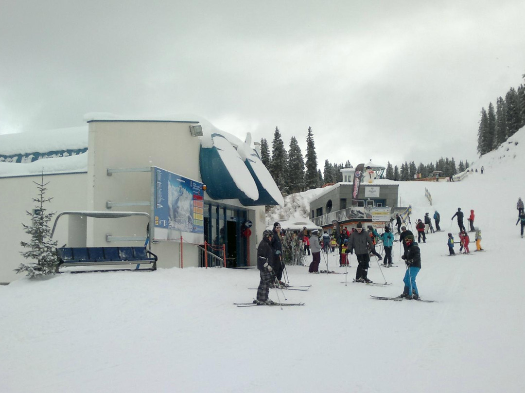 See Ski Resort景点图片