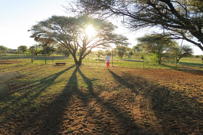Vryburg酒店住宿-Klondike Lodge