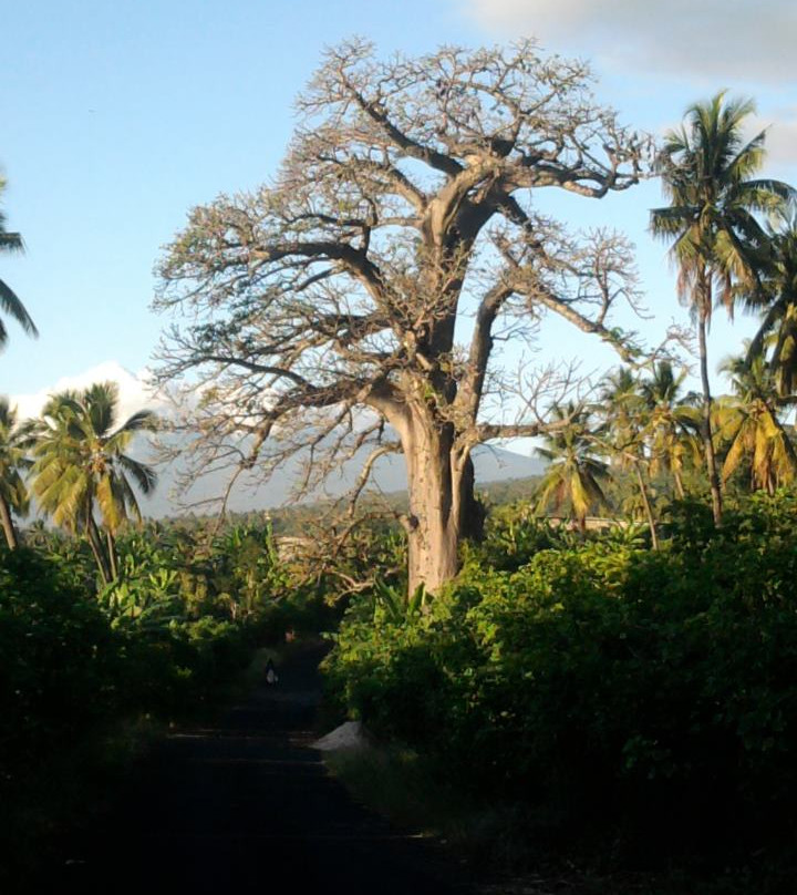 Bouni Beach-Grande Comore必去景点
