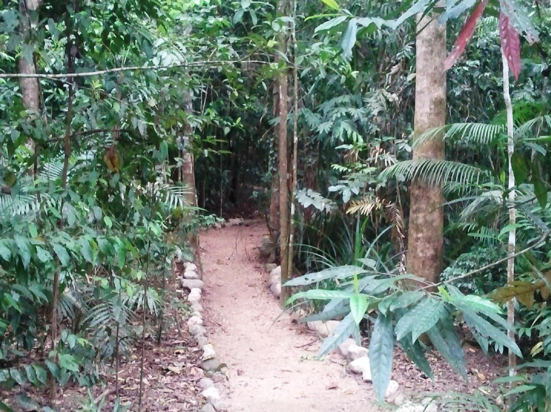 Mossman Gorge Centre Tours-Daintree必去景点