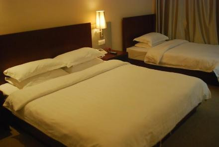 宁波维也纳国际酒店机场店主图