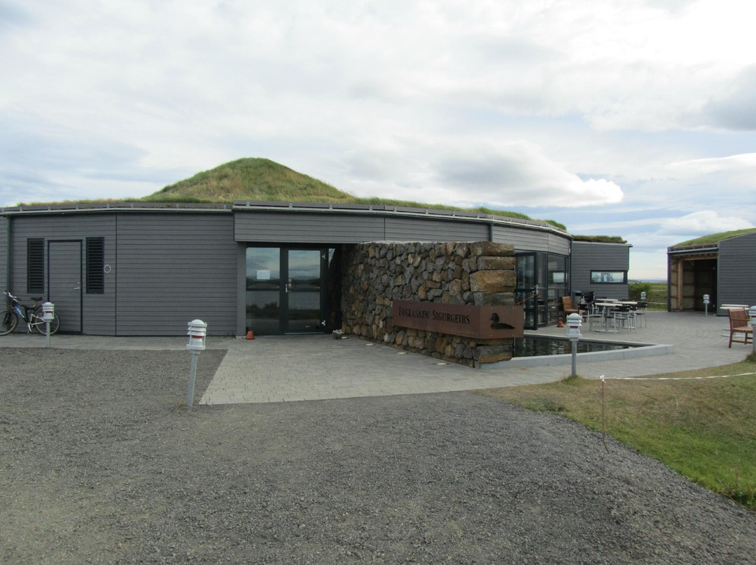 Sigurgeirs Bird Museum-雷克雅里德必去景点