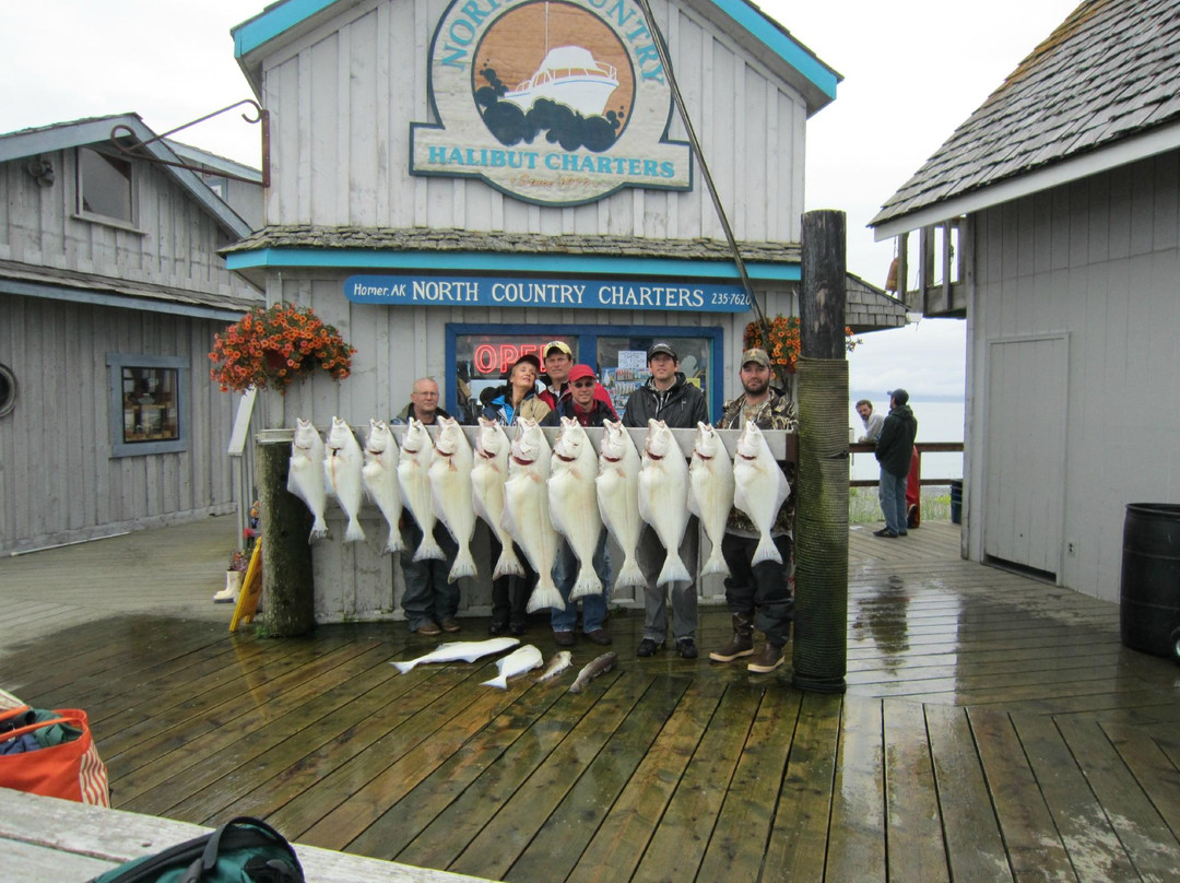 North Country Charters-荷马必去景点