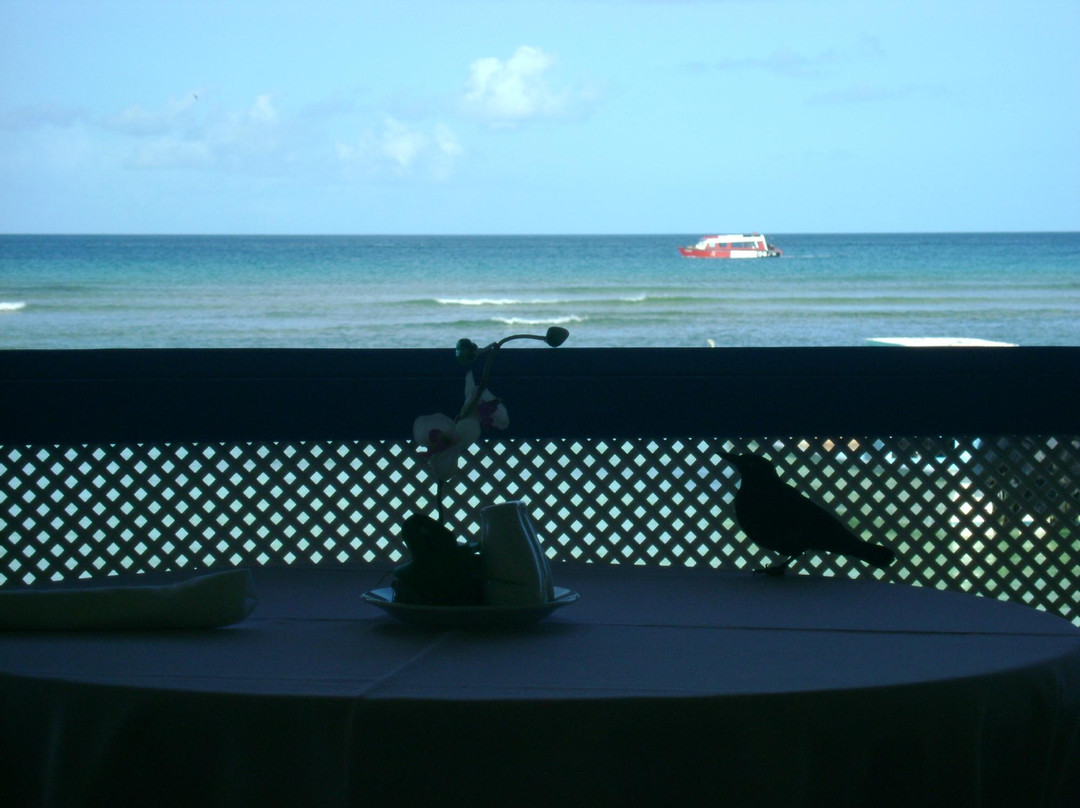 Conrado Beach Resort主图