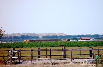 Hacienda La Indiana主图