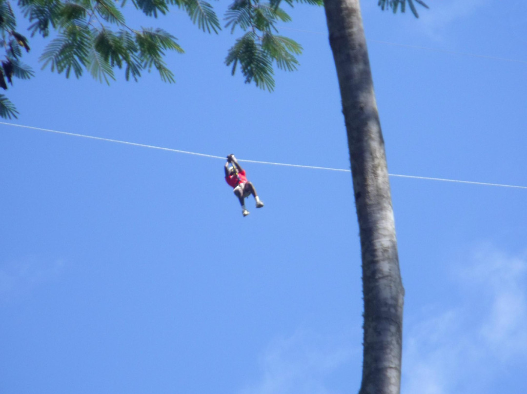 Zipline Cola de Mono-Santa Teresa必去景点