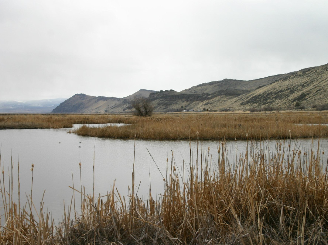 Tule Lake National Wildlife Refuge-Tulelake必去景点