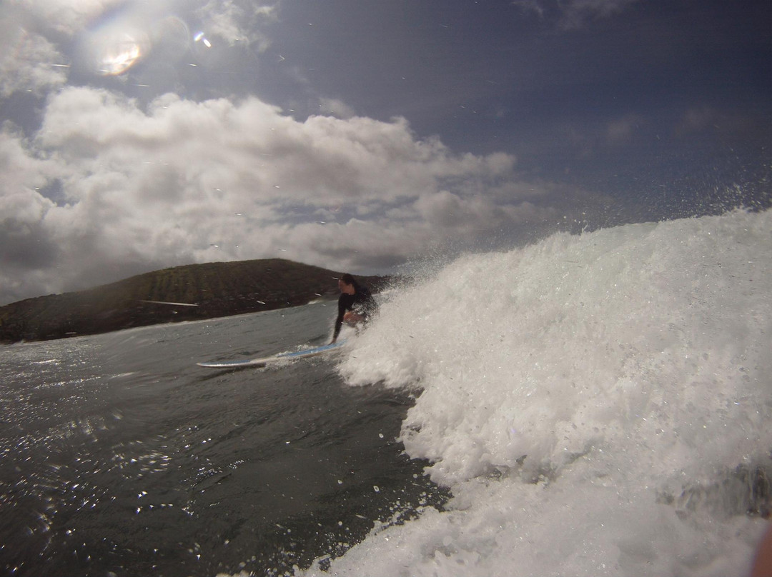Hawaiian Surf Adventures-火奴鲁鲁必去景点