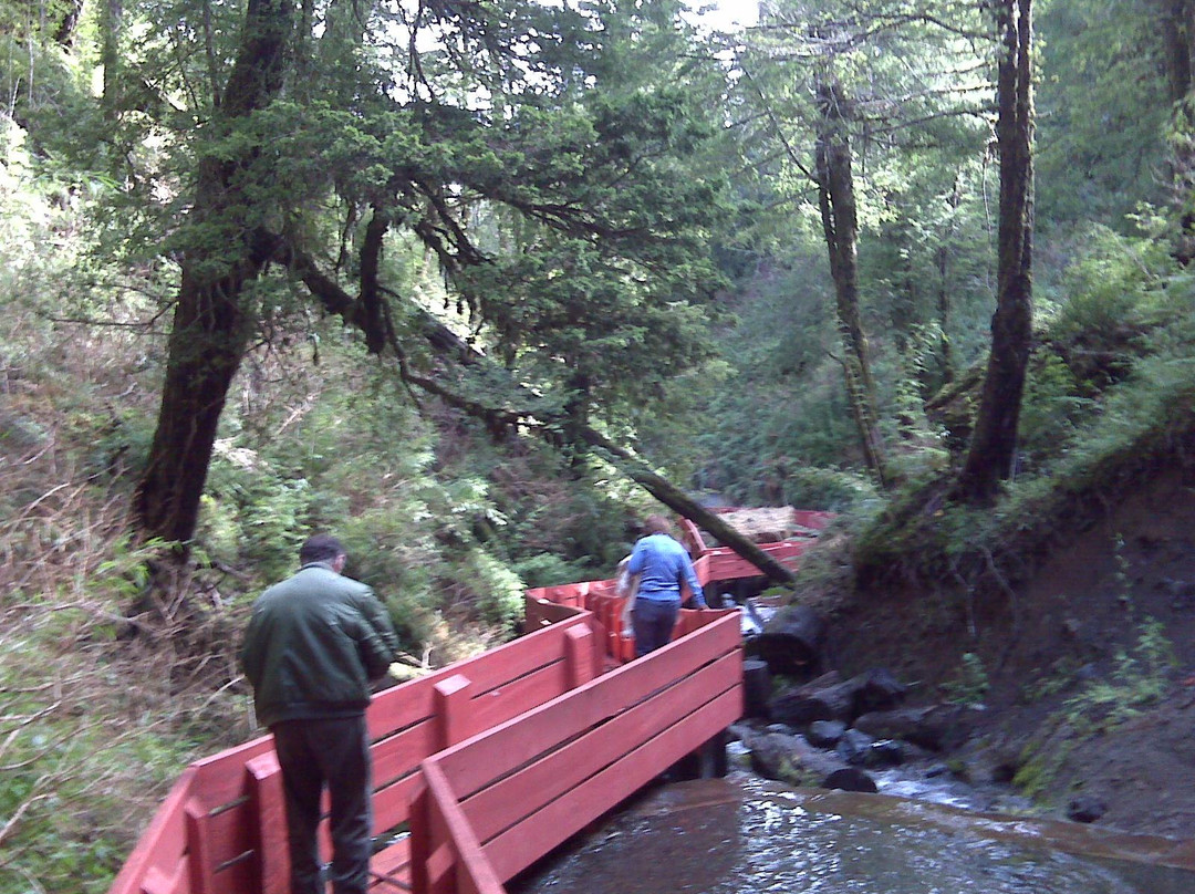 Region IX Ltd-比亚里卡必去景点