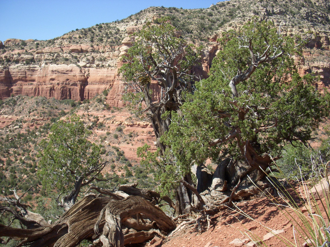 Inner Journeys-塞多纳必去景点