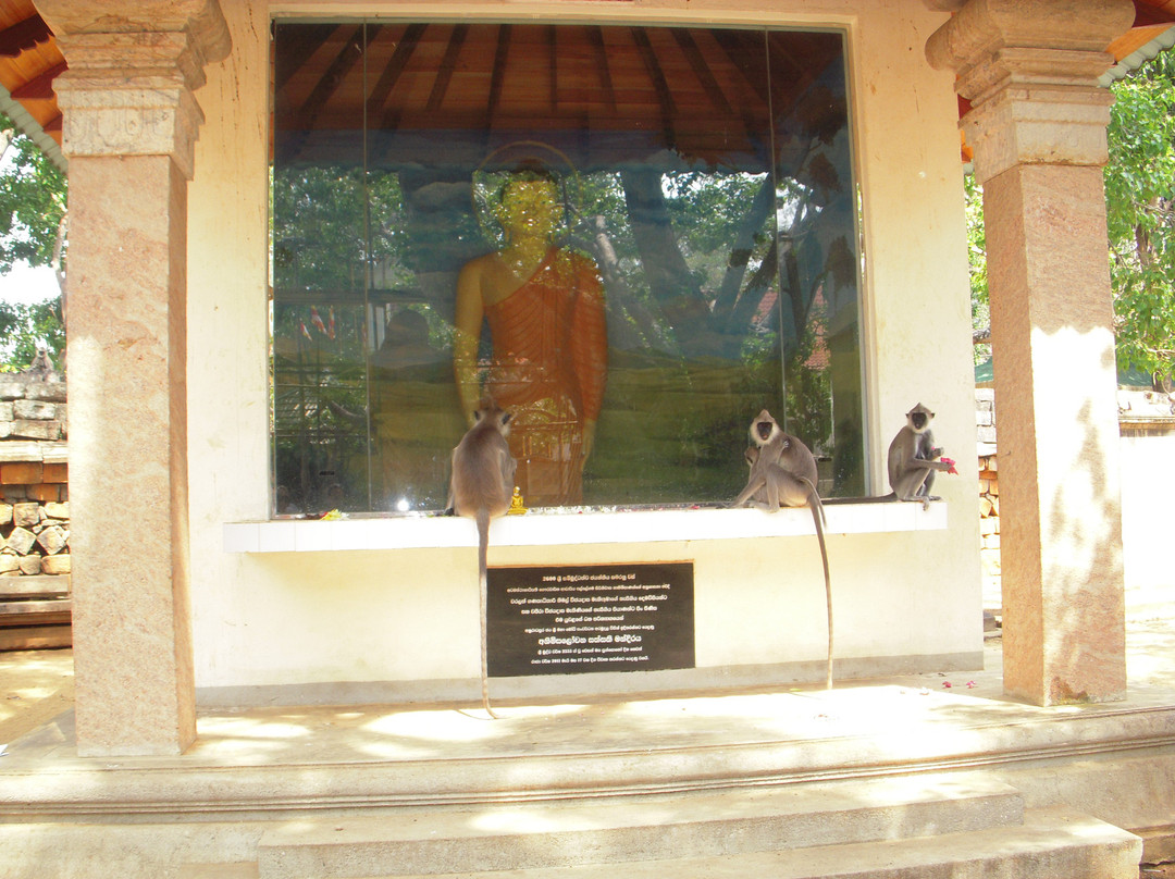 Jaya Sri Maha Bodhi景点图片