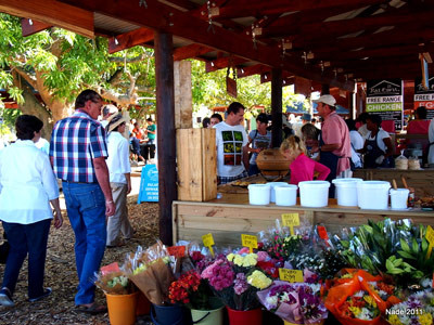 Outeniqua Farmers' Market-乔治必去景点