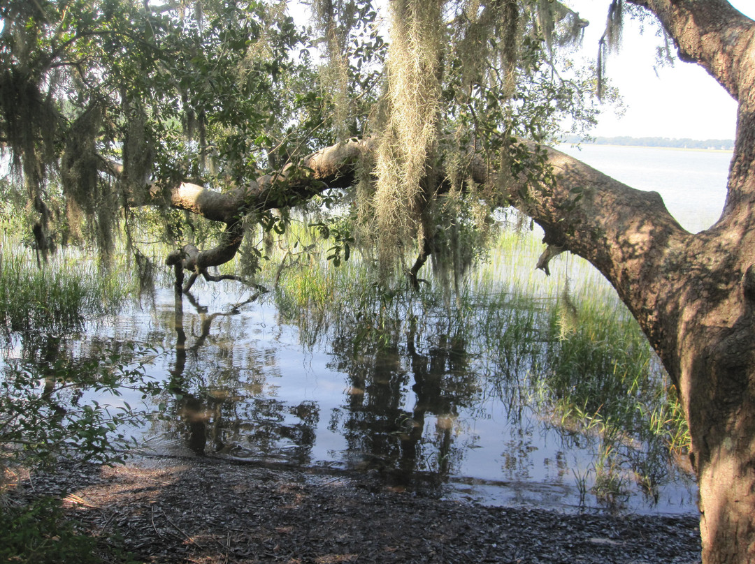 Pinckney Island National Wildlife Refuge-希尔顿头岛必去景点