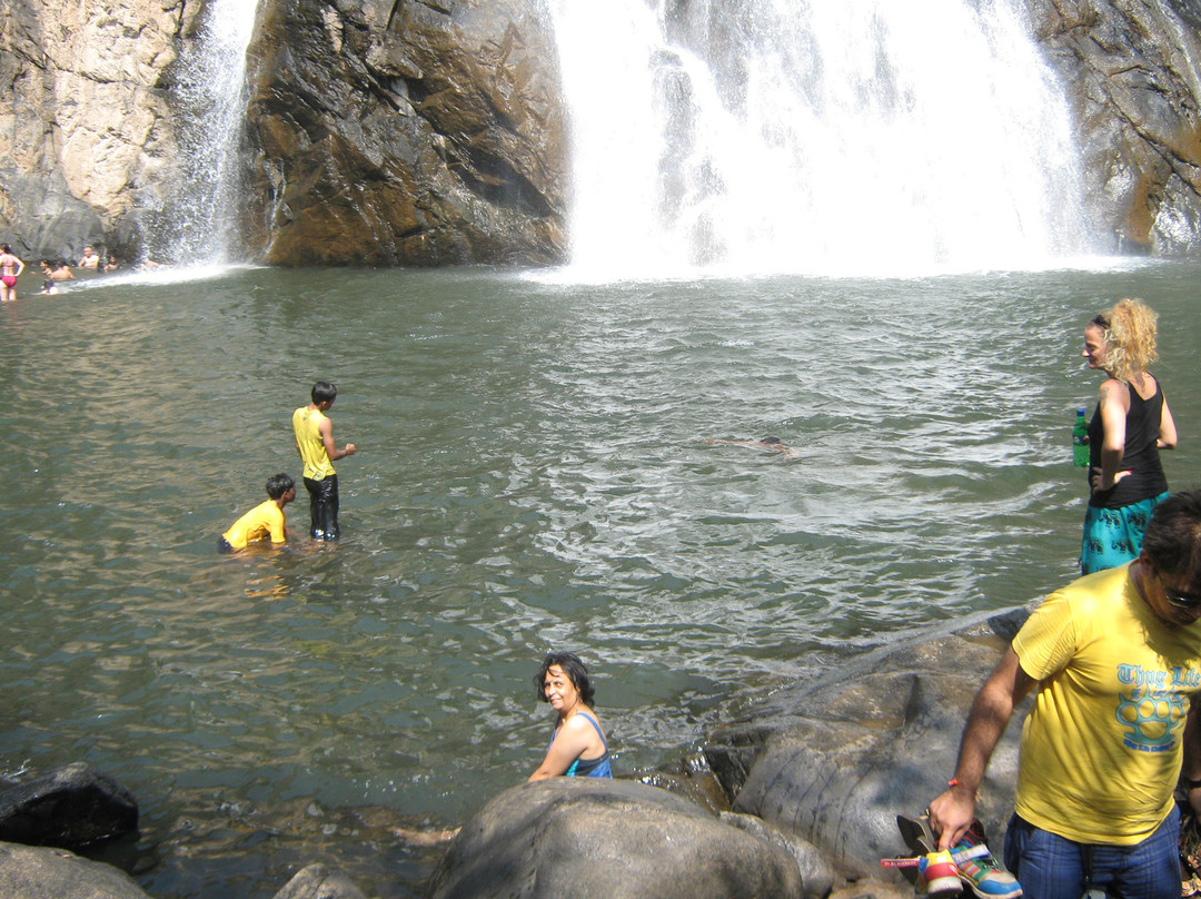 Dudhsagar Falls景点图片