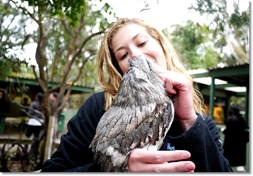 Diamond Tours-悉尼必去景点