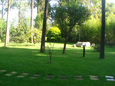 大理古城双榕度假酒店主图