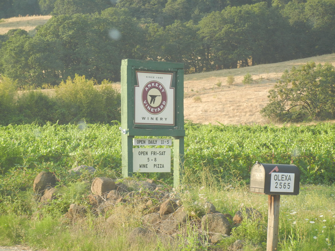 Ankeny Vineyard-塞勒姆必去景点