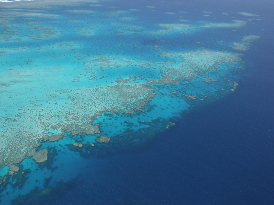 Quicksilver Cruises-道格拉斯港必去景点