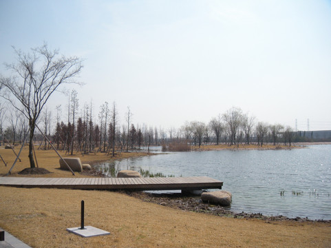 上海辰山植物园-上海市必去景点